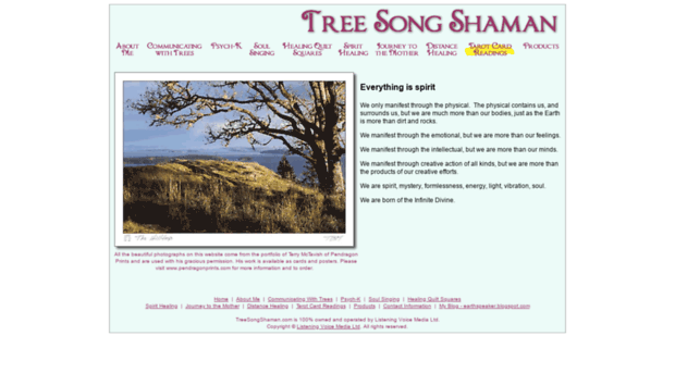 treesongshaman.com