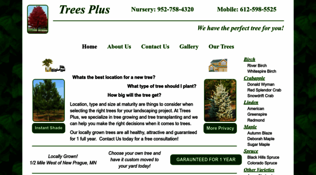 treesplustrees.com