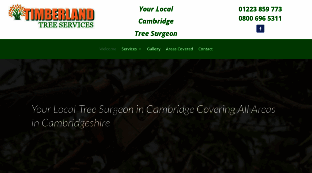 treesurgeonincambridge.co.uk