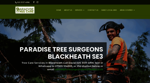 treesurgeonsblackheath.co.uk