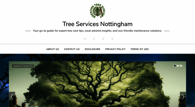 treesurgeonsinnottingham.co.uk