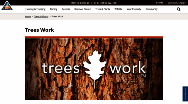 treeswork.org