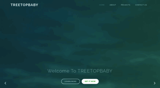 treetopbaby.com