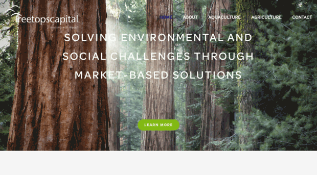 treetopscapital.com