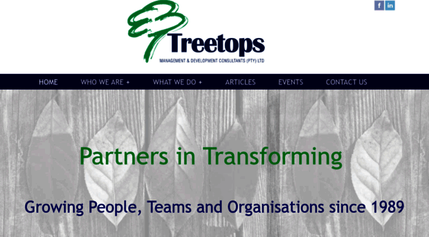 treetopsconsultants.com