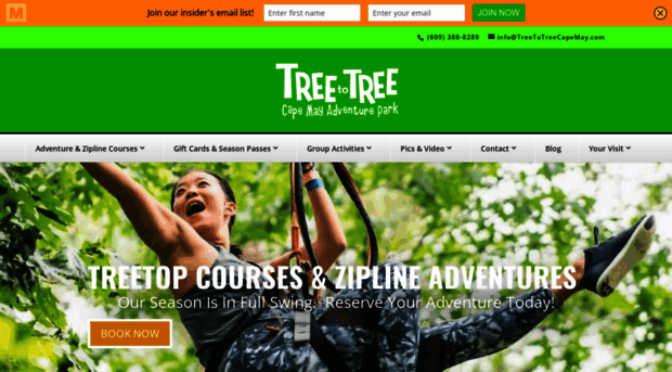 treetotreecapemay.com