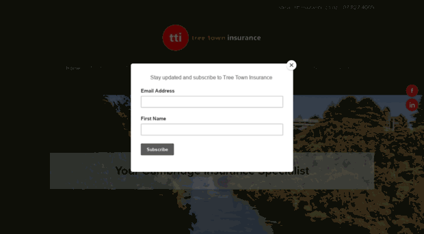 treetowninsurance.co.nz