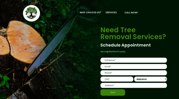 treewiseguysct.com