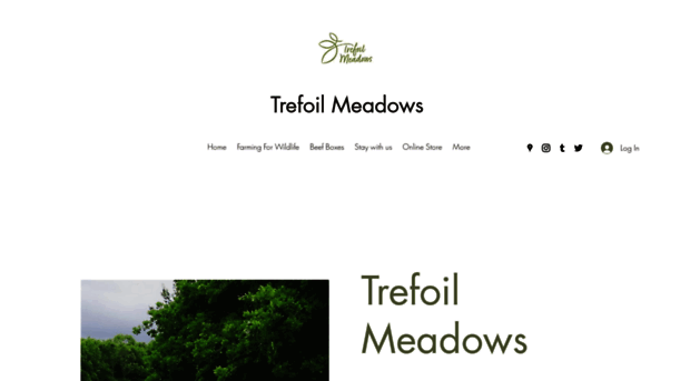 trefoilmeadows.co.uk