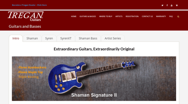 treganguitars.com