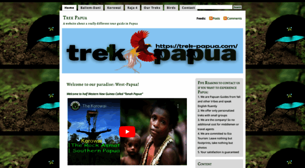 trek-papua.com