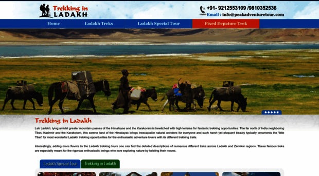 trekkinginladakh.com