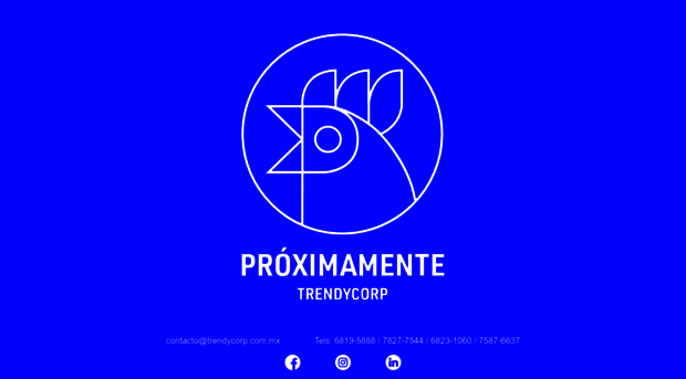 trendycorp.com.mx