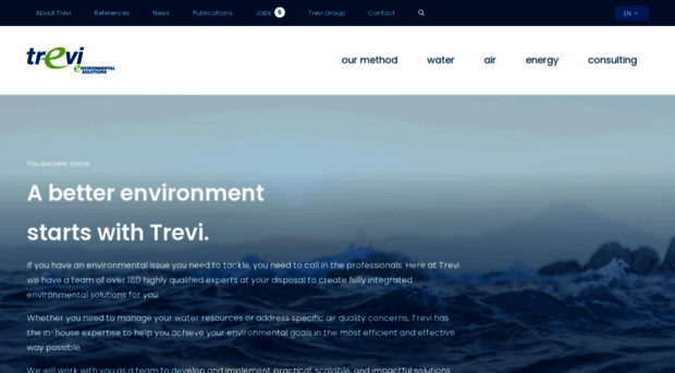 trevi-env.com