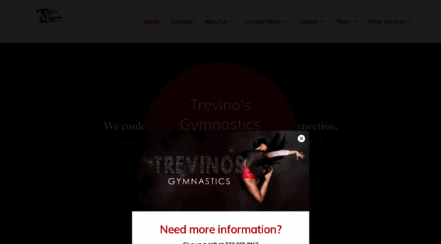 trevinosgymnastics.com