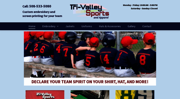 tri-valleysports.net