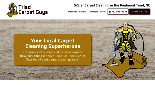 triadcarpetguy.com