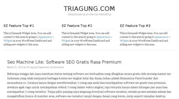 triagung.com