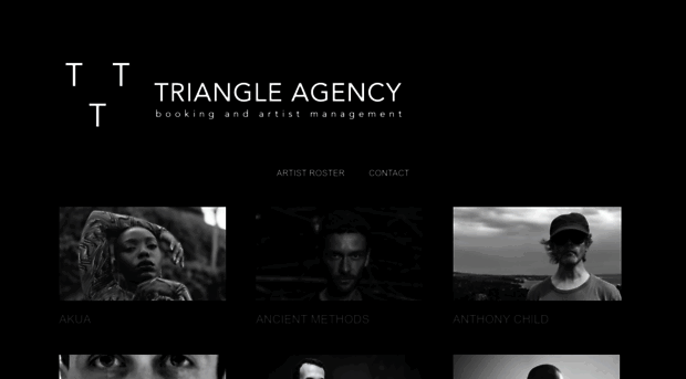 triangleagency.com