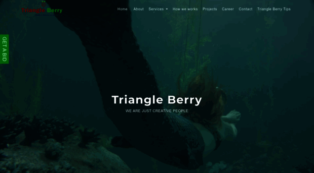 triangleberry.com