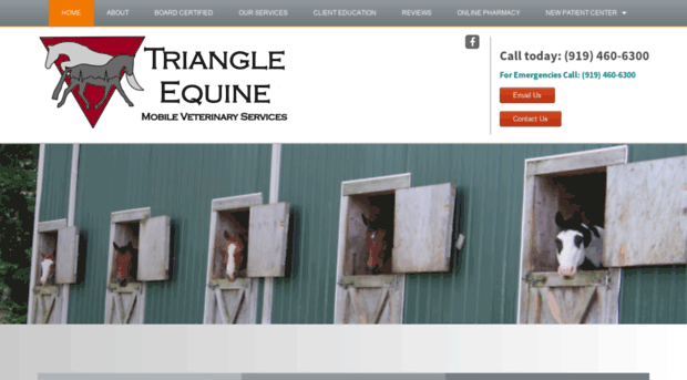 triangleequine.com