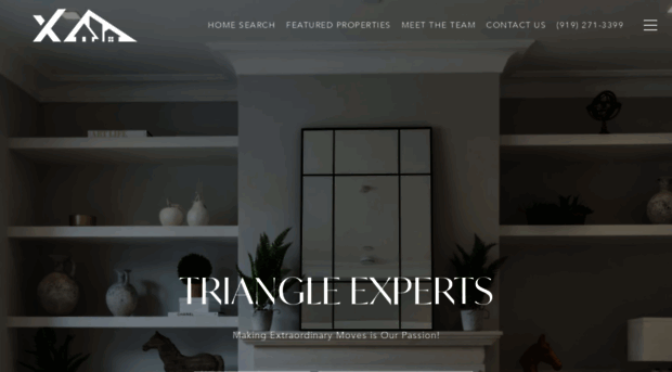 triangleexperts.com