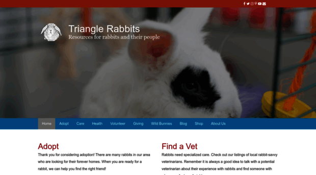 trianglerabbits.org