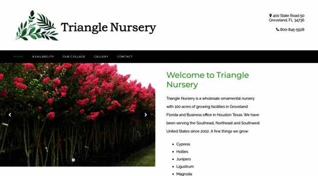 triangletrees.net