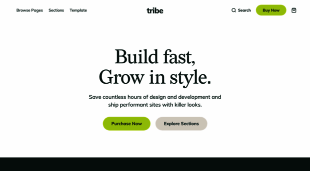 tribe-template.webflow.io