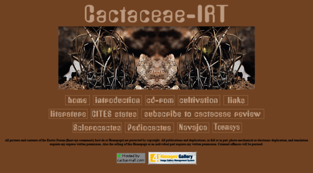 tribecacteaeirt.com