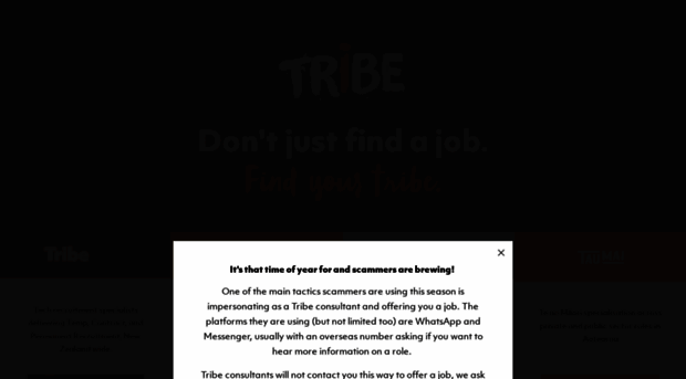 tribegroup.com