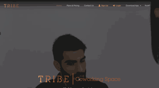 tribekw.com