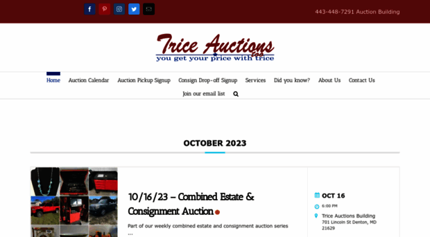 triceauctions.com