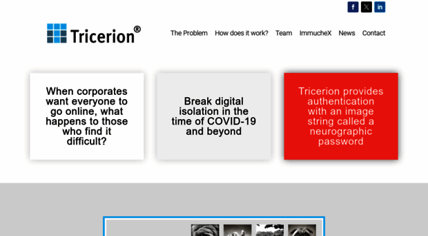 tricerion.com