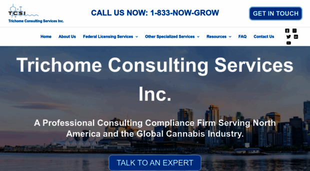 trichomeconsultingservices.com