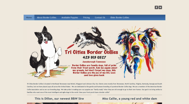 tricitiesbordercollies.com