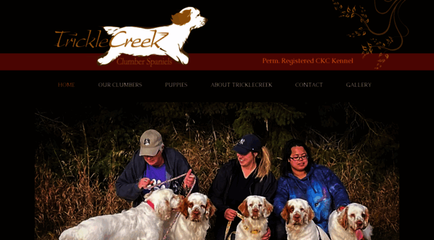 tricklecreekclumberspaniels.com