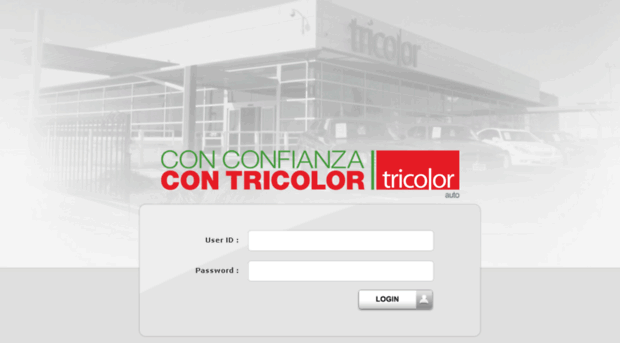 tricolorauto.net