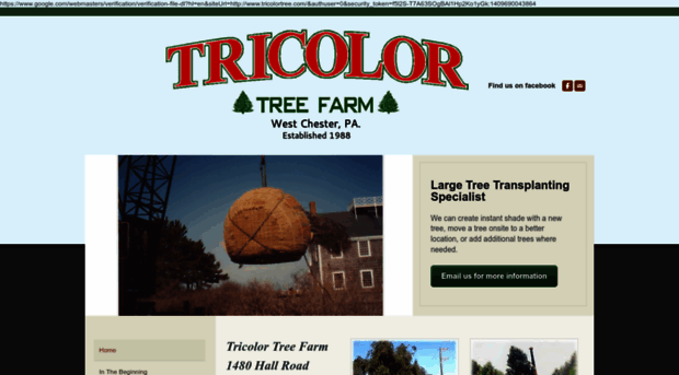tricolortree.com