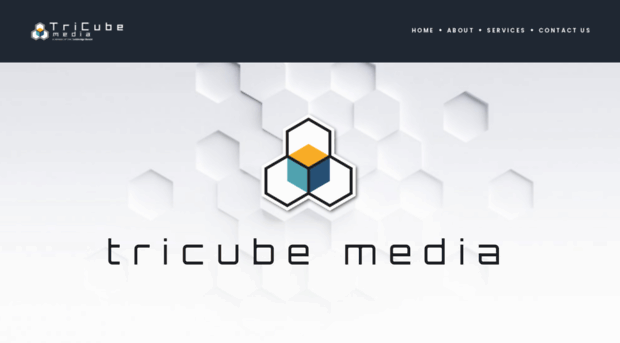 tricubemedia.com