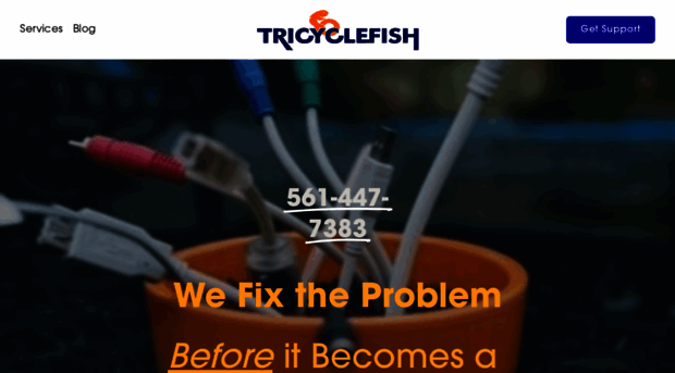 tricyclefish.com