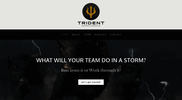 trident-cc.com