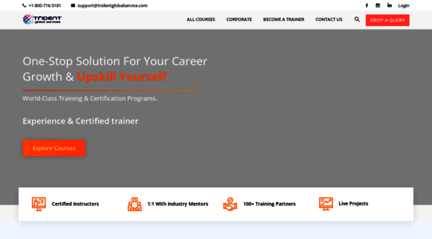 tridentglobalservice.com