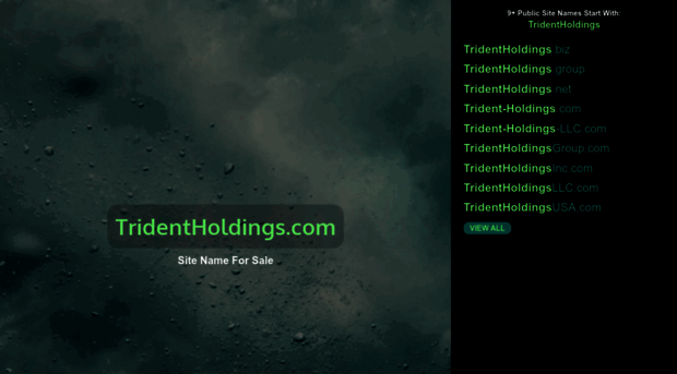 tridentholdings.com