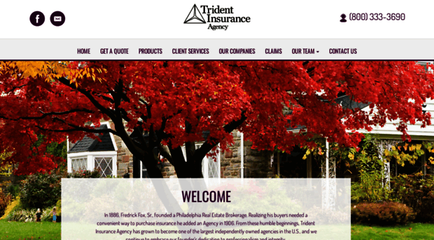 tridentinsuranceagency.com