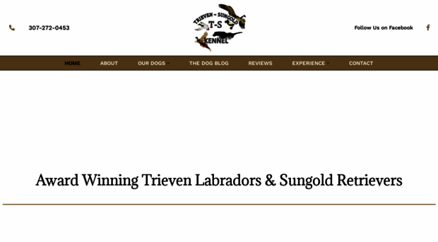 trievensungoldkennels.com