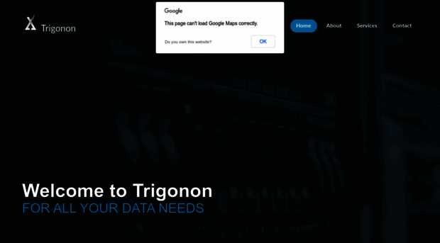 trigonongroup.com