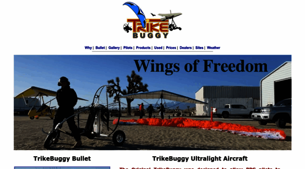 trikebuggy.com