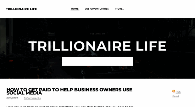 trillionaire-life.com