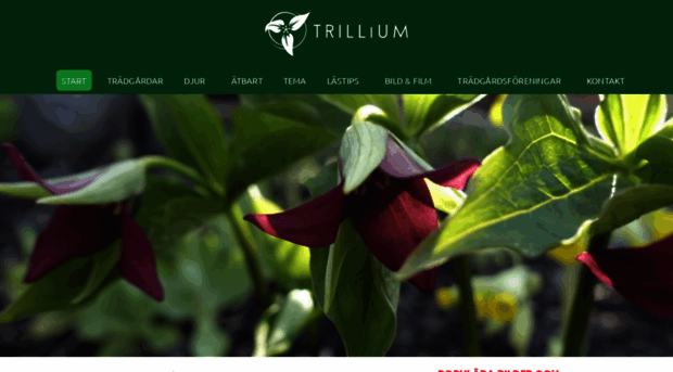 trillium.se